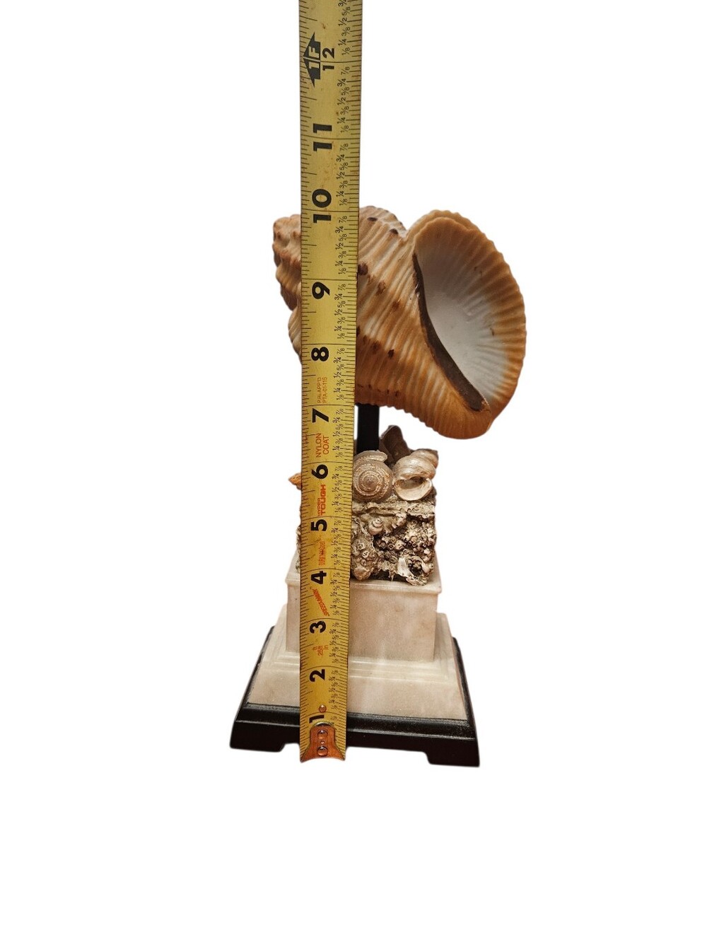 Coastal Inspired Seashell Decorative Sculpture On Tiered Marble Base! - Picture 3 of 4